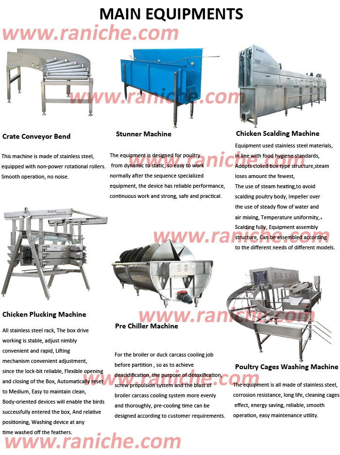 Semi-Automatic Evisceration System for Chicken Poultry Processing Line Stainless Steel 304 Material Quality Plucker